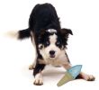 Pet Life Ice Cream Cone Cooling 'Lick And Gnaw' Water Fillable And Freezable Rubberized Dog Chew And Teether Toy